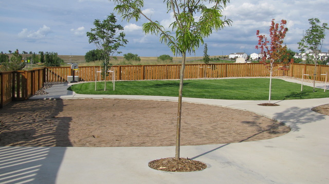 Playground 2