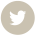 social-icon-twitter