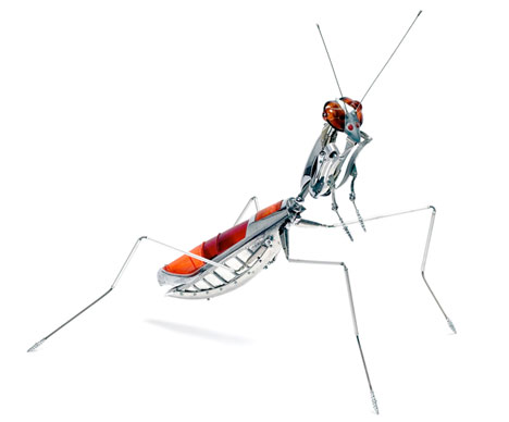 metal-insect